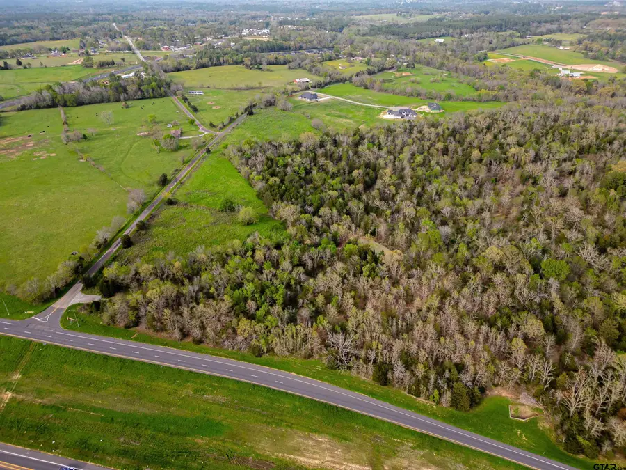 106 AC TBD County Road 192, Tyler, TX 75703 - #3