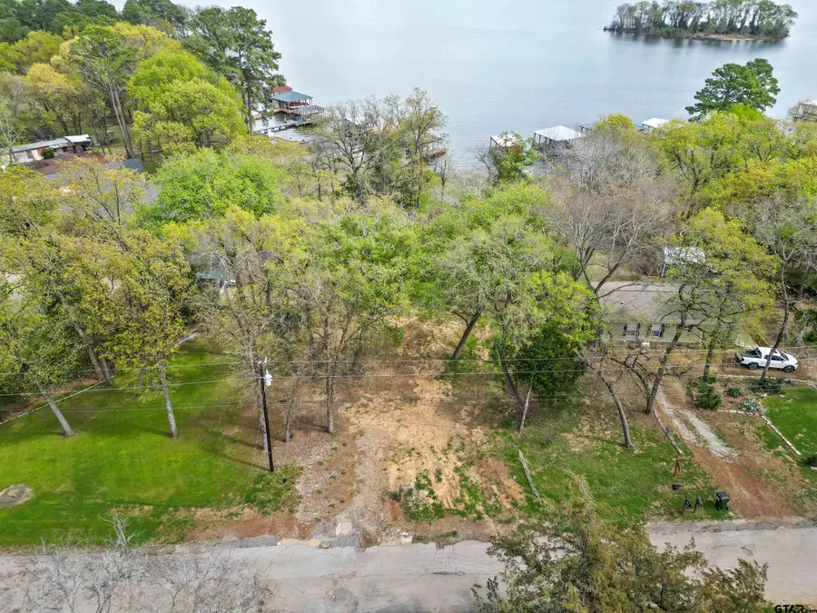 22693 Creekwood Dr, Flint, TX 75762 - #2