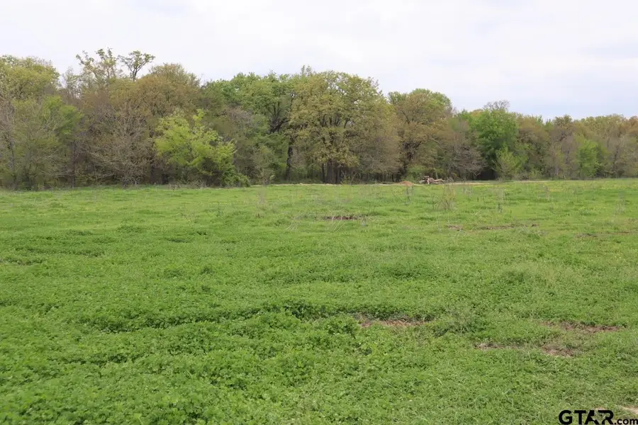 0 County Road 4764, North Hopkins Sulphur Bluff, TX 75482 - #2