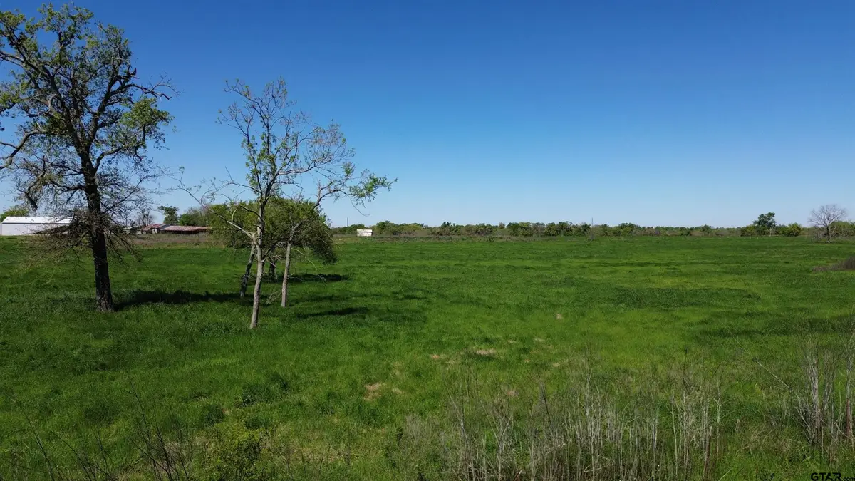 Lot 3 Rs County Road 3410, Emory, TX 75440 - #1