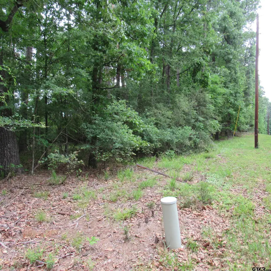 TBD Rolling Ridge, Holly Lake Ranch, TX 75765 - Image #2