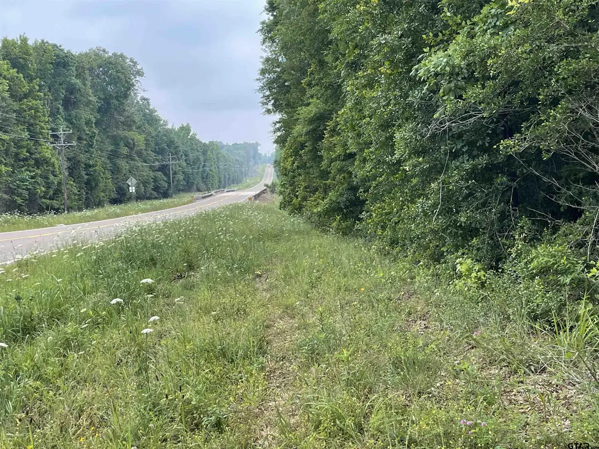 TBD FM 1645, Timpson, TX 75975 - #1