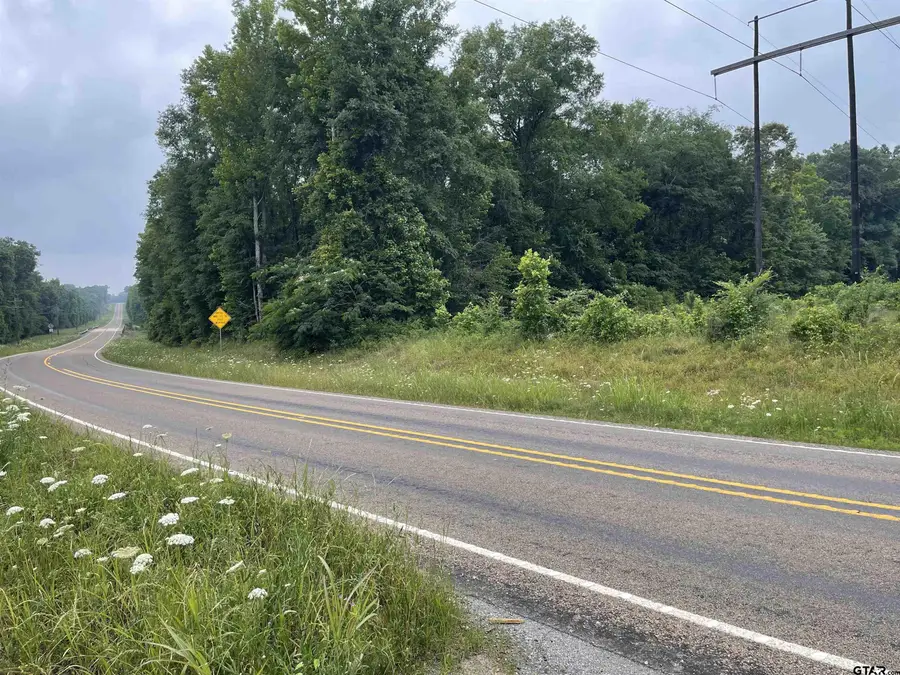 TBD FM 1645, Timpson, TX 75975 - #2