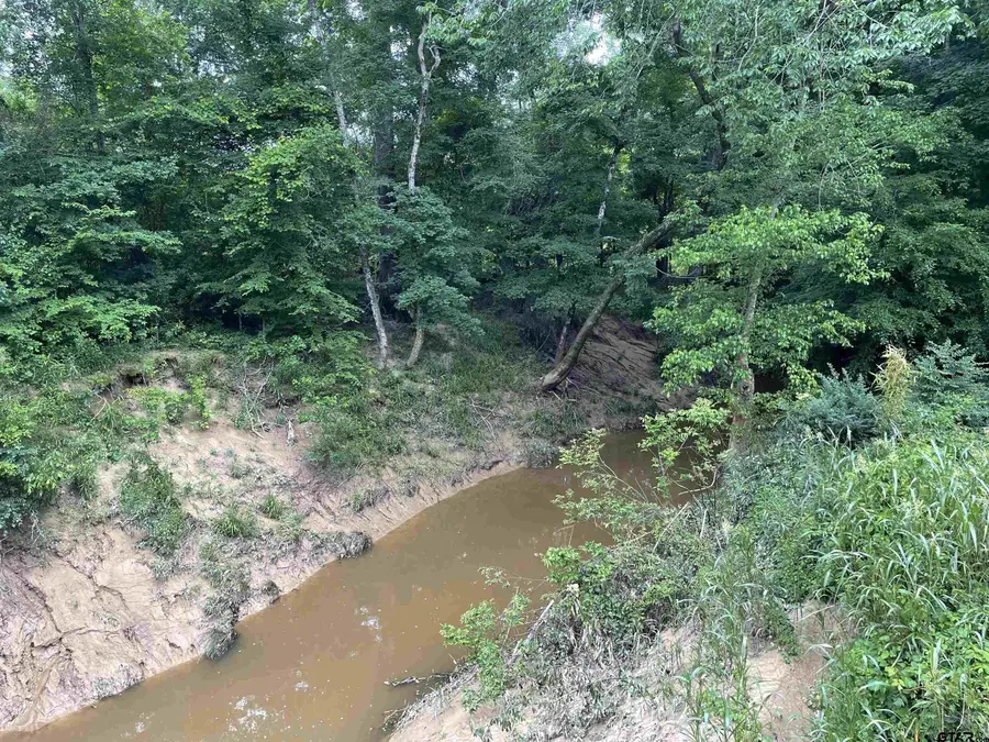 TBD FM 1645, Timpson, TX 75975 - #3