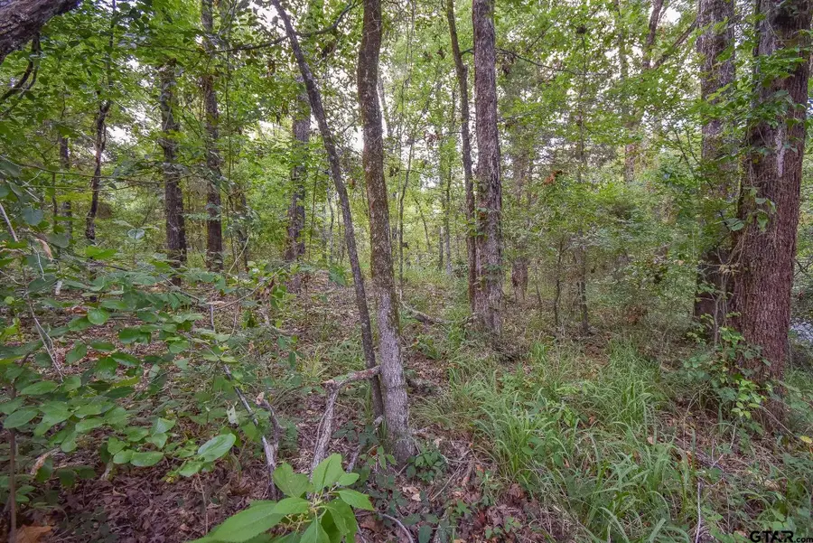 TBD VZ CR 1703, Grand Saline, TX 75140 - #3