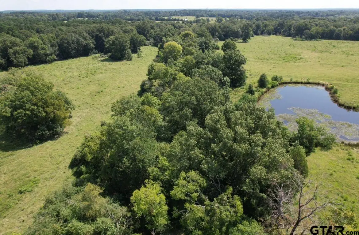 TBD-A Cr 4037, Timpson, TX 75975 - #1