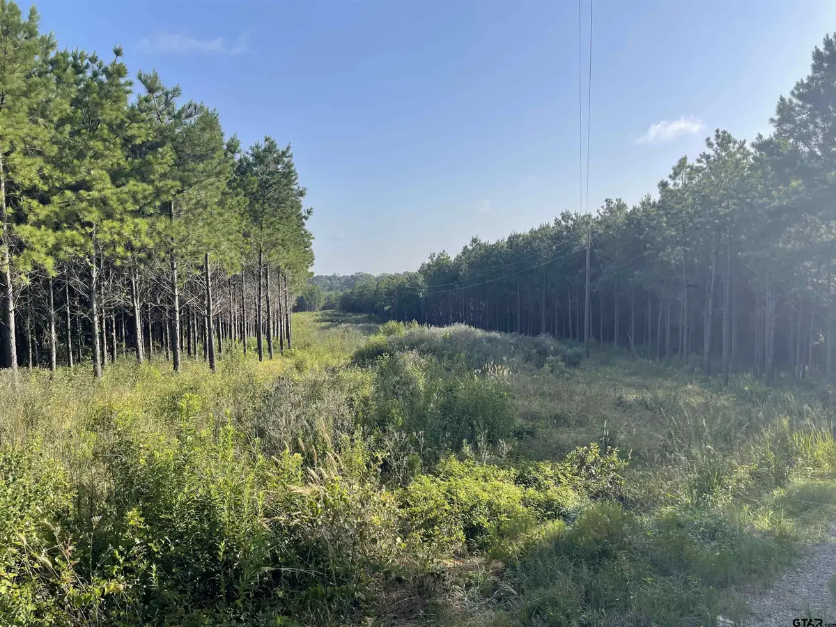 TBD (Lot 45) County Road 1060, Aiken Neuville, TX 75935 - #1