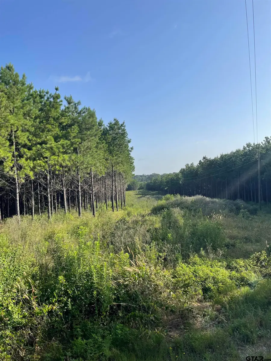 TBD (Lot 45) County Road 1060, Aiken Neuville, TX 75935 - #2