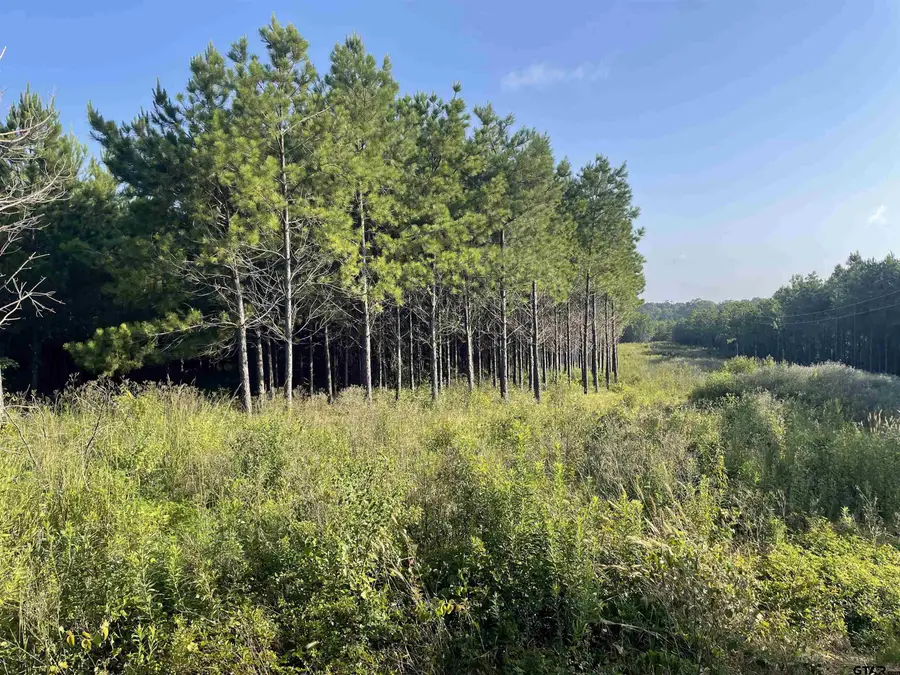 TBD (Lot 45) County Road 1060, Aiken Neuville, TX 75935 - #3