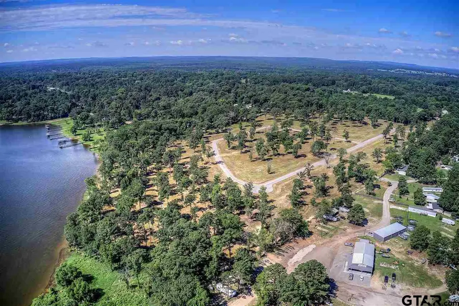20641 Wycliff Drive, Chandler, TX 75758 - #3