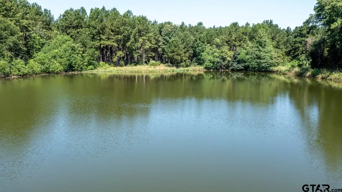TBD HWY 84, Timpson, TX 75975 - Image #1
