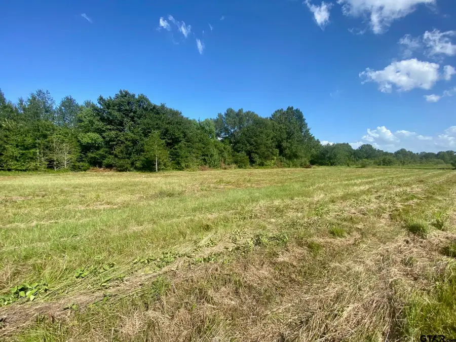 Lot #133 JB McDuff Drive, Crockett, TX 75835 - Image #3