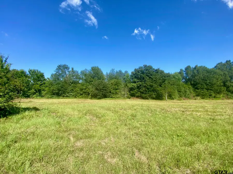 Lot #134 JB McDuff Drive, Crockett, TX 75835 - Image #2