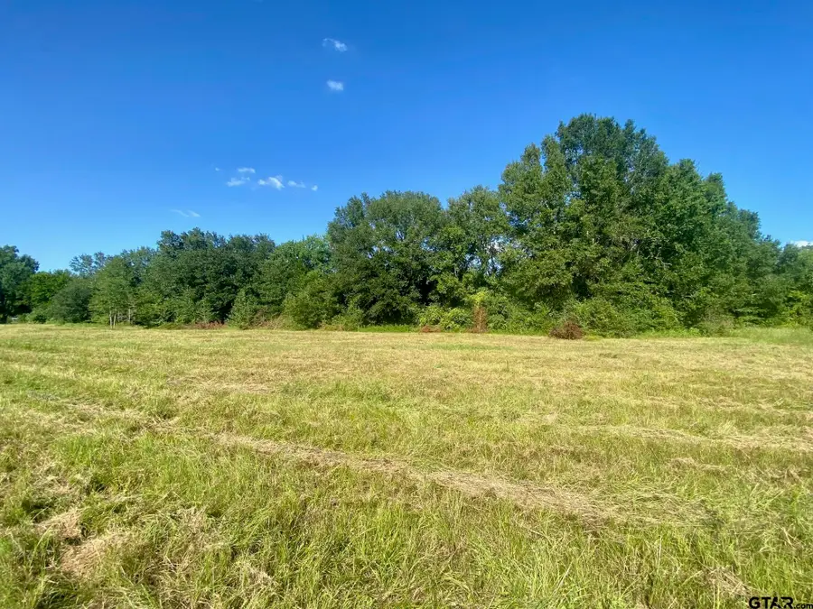 Lot #136 JB McDuff Drive, Crockett, TX 75835 - Image #3