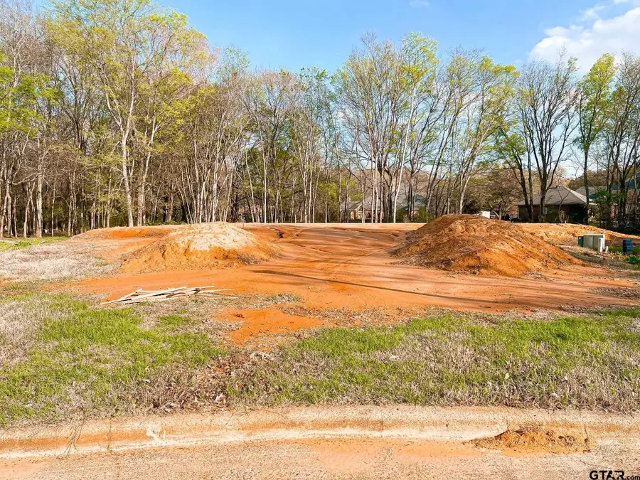 912 Holly Hill Ln, Mount Pleasant, TX 75455 - #3