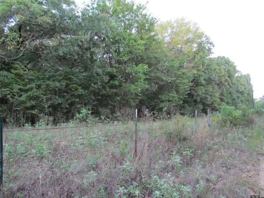 TBD VZCR 1924, Fruitvale, TX 75127 - #2