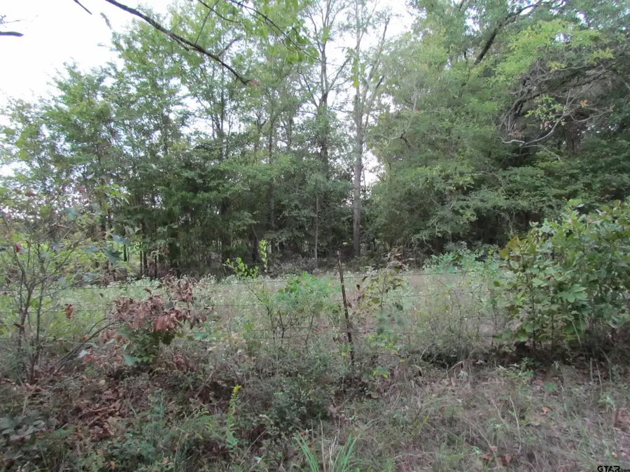 TBD VZCR 1924, Fruitvale, TX 75127 - #3