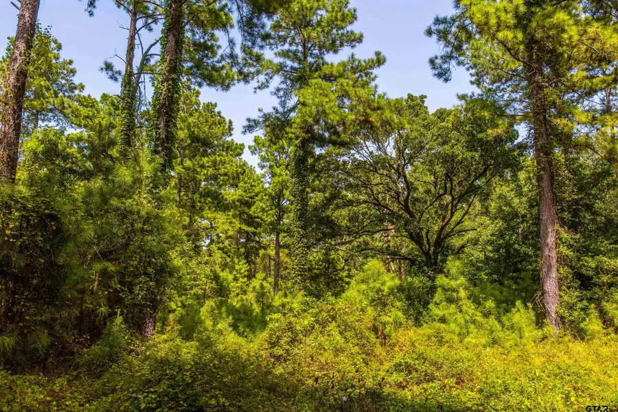 Tract 7 Cr 4221, Larue Poynor, TX 75763 - #3