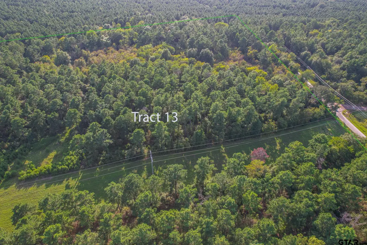 Tract 13 Cr 4224, Larue Poynor, TX 75763 - #1