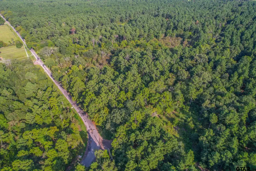 Tract 13 Cr 4224, Larue Poynor, TX 75763 - #2