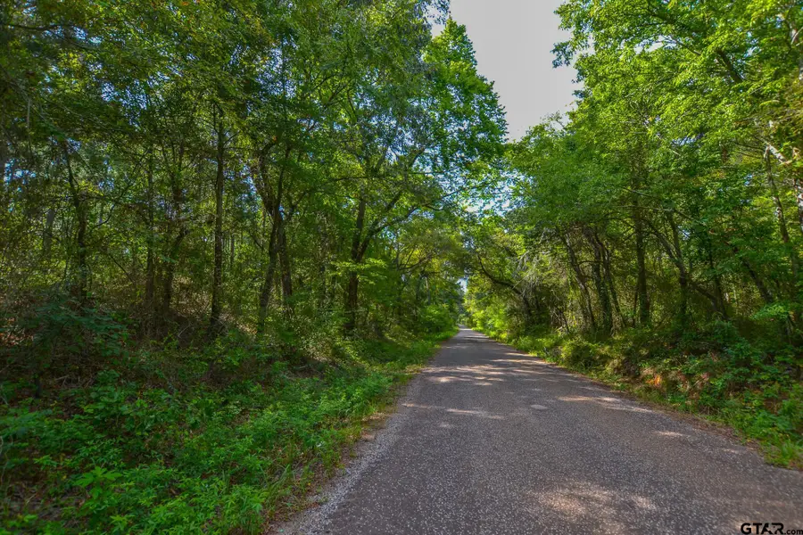Tract 13 Cr 4224, Larue Poynor, TX 75763 - #3