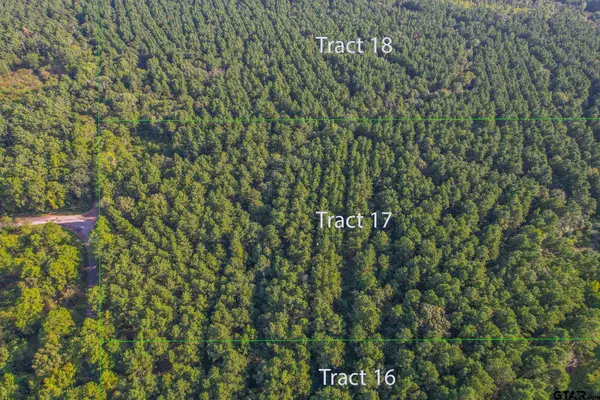 Tract 17 CR 4224, Frankston, TX 75763