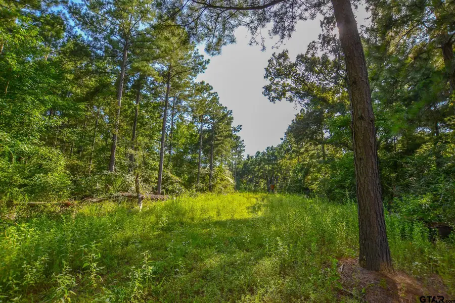 Tract 17 Cr 4224, Larue Poynor, TX 75763 - #2