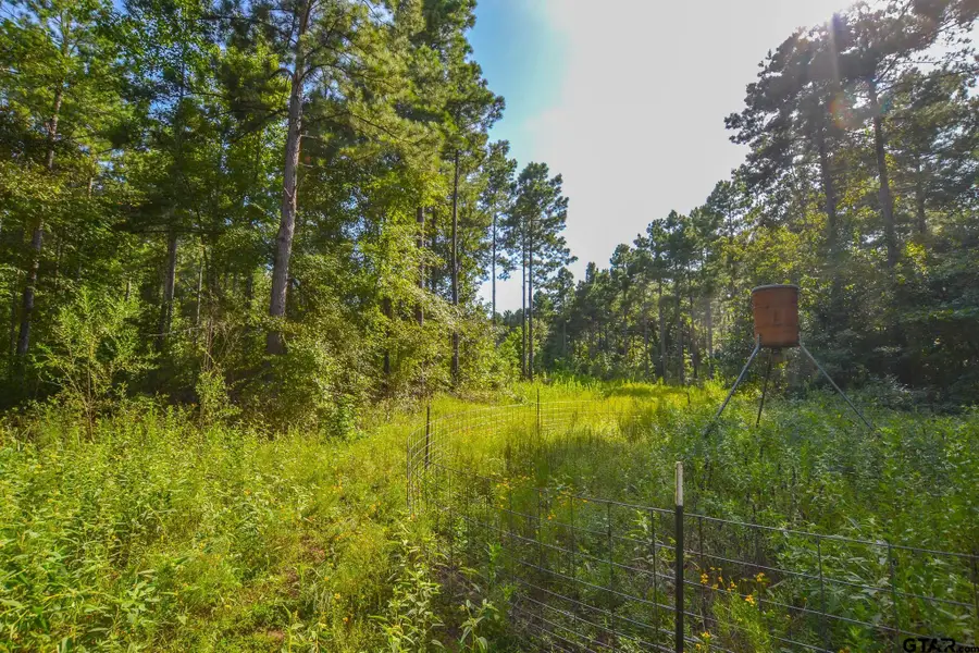 Tract 17 Cr 4224, Larue Poynor, TX 75763 - #3