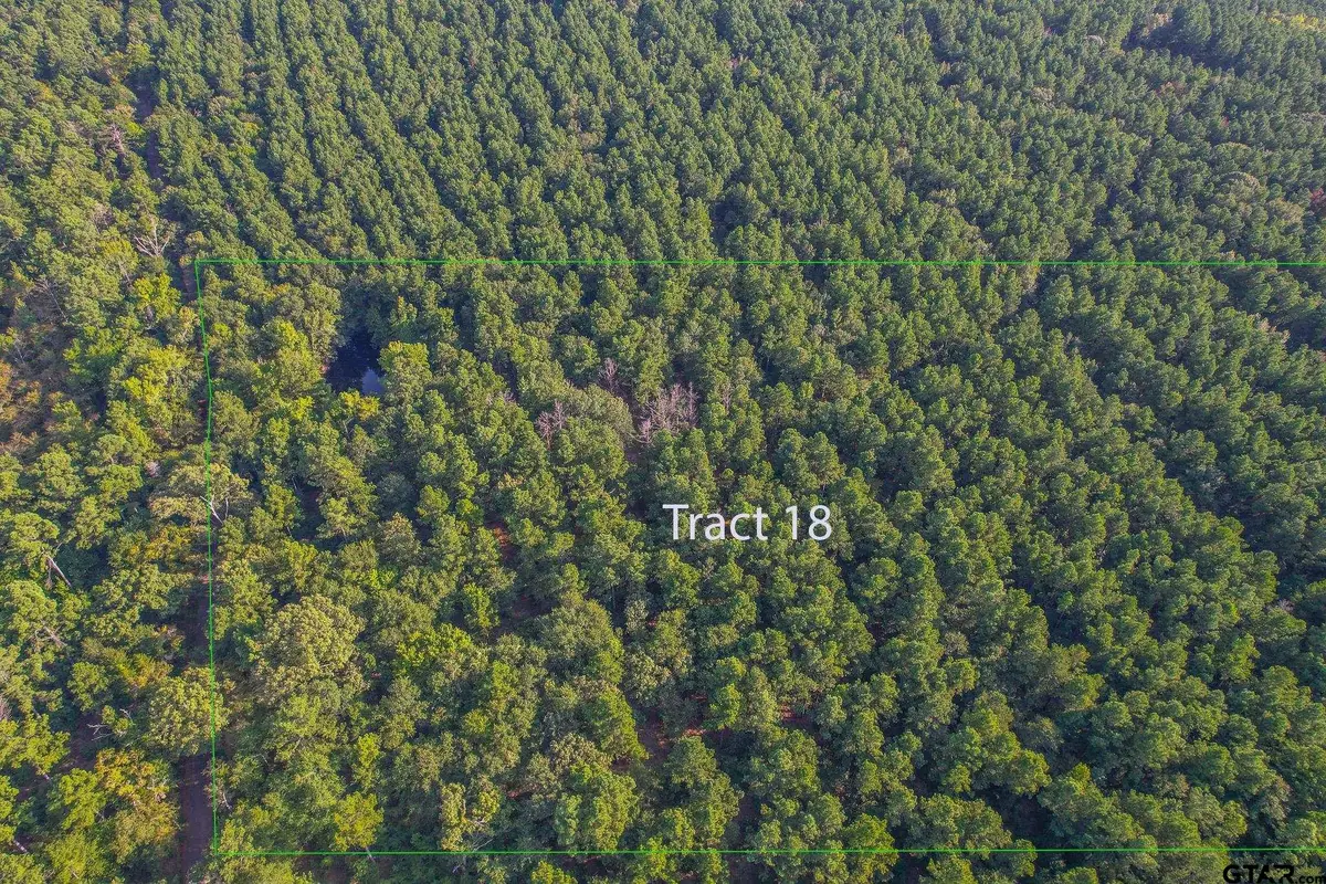 Tract 18 Cr 4224, Larue Poynor, TX 75763 - #1
