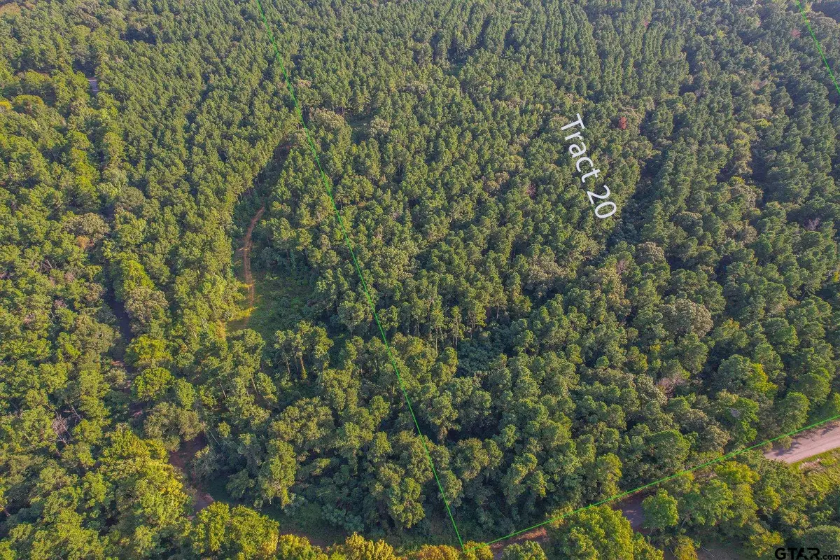 Tract 20 Cr 4224, Larue Poynor, TX 75763 - #1
