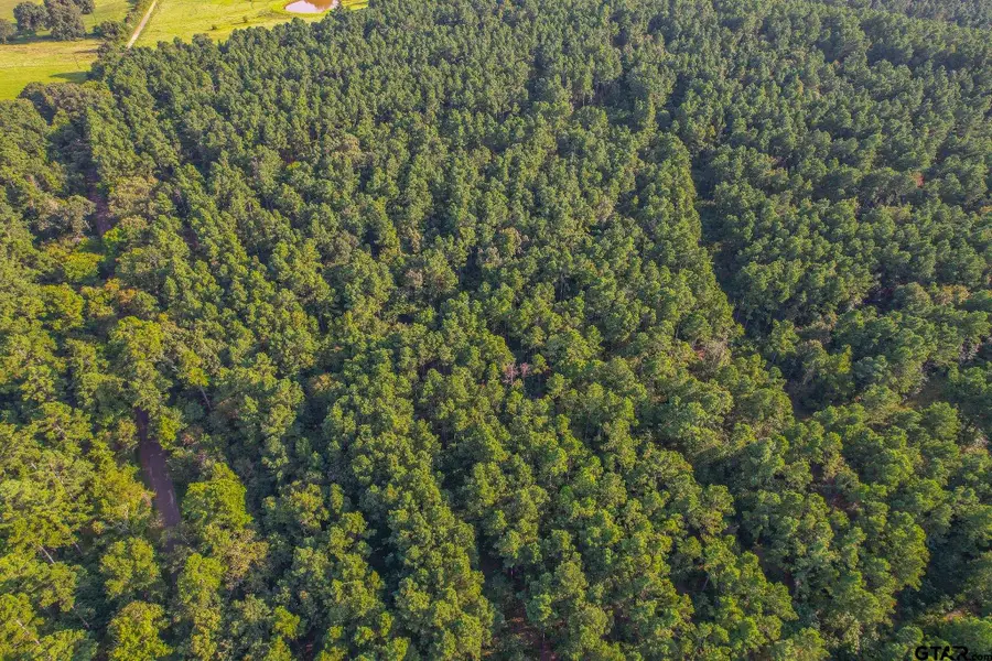 Tract 20 Cr 4224, Larue Poynor, TX 75763 - #2
