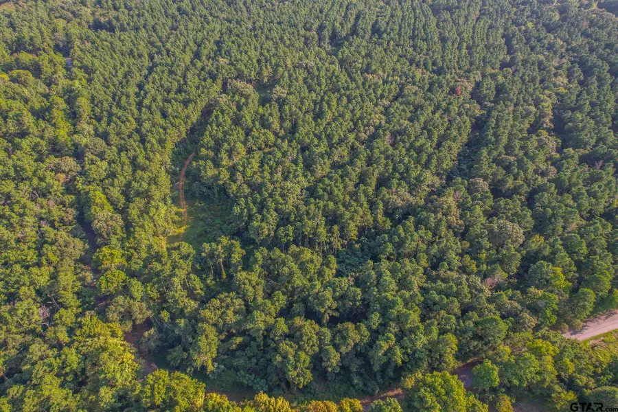 Tract 20 Cr 4224, Larue Poynor, TX 75763 - #3