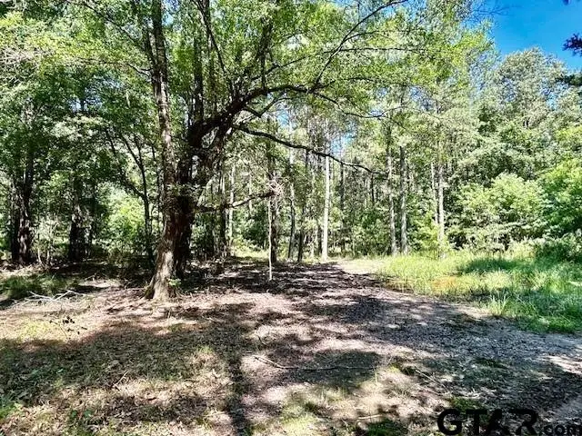 75 Acres Hwy 37, Clarksville, TX 75426 - #1