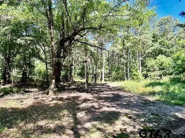 75 Acres Hwy 37, Clarksville,  75426