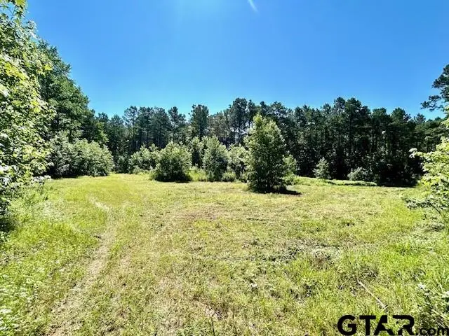 75 Acres Hwy 37, Clarksville, TX 75426 - #2