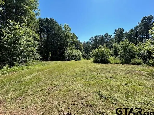 75 Acres Hwy 37, Clarksville, TX 75426 - #3