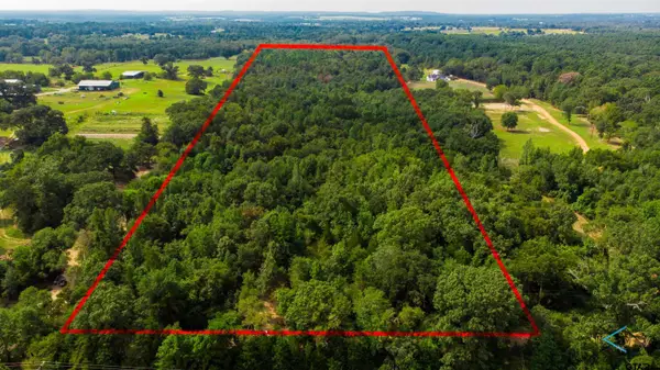 TBD Cr 3606, Brownsboro,  75756