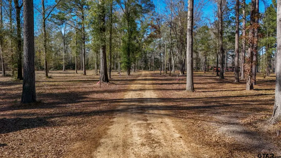 TBD (Lot 1) County Road 3545, Joaquin, TX 75954 - #2