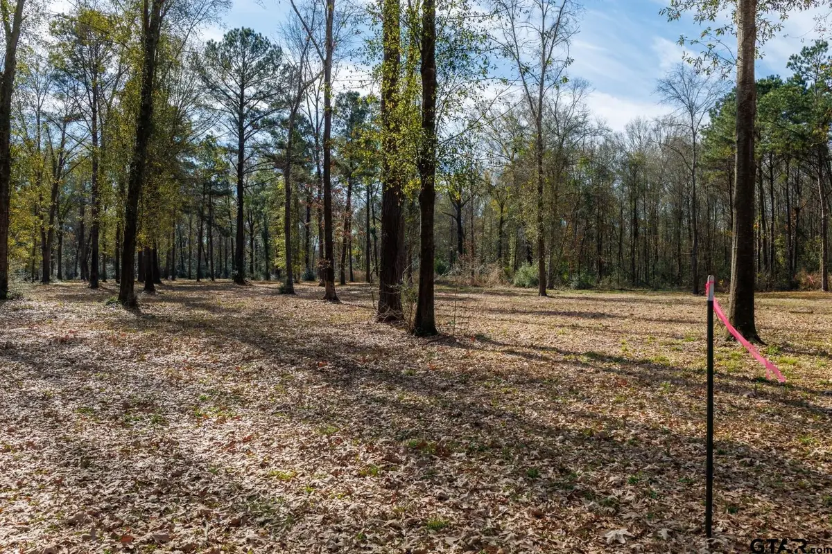 TBD (Lot 4) County Road 3545, Joaquin, TX 75954 - Image #1