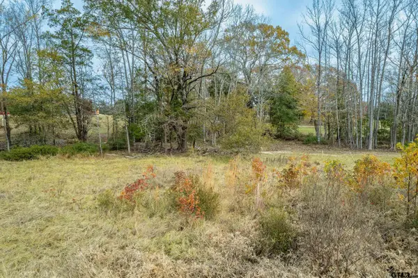 21540 Riva Ridge Dr, Tyler,  75704