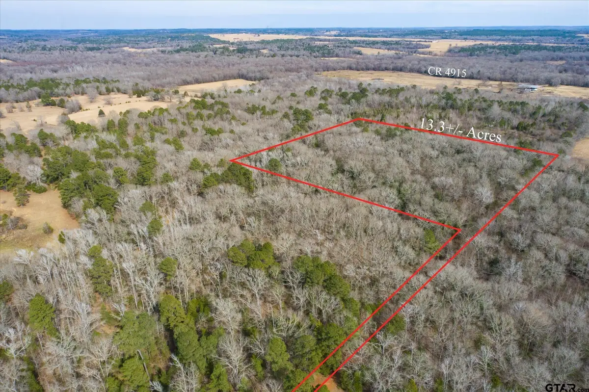 TBD County Road 4917, Ben Wheeler, TX 75754 - Image #1