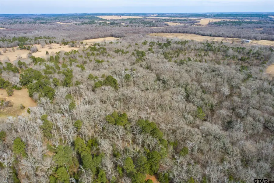 TBD County Road 4917, Ben Wheeler, TX 75754 - Image #3