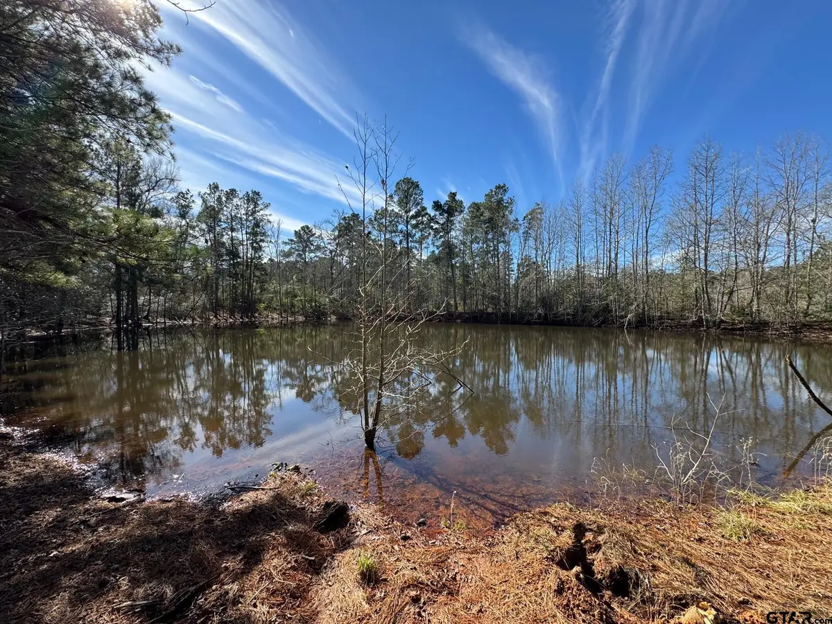 7365 N FM 2022, Grapeland, TX 75844 - Image #1