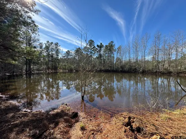 7365 N FM 2022, Grapeland, TX 75844