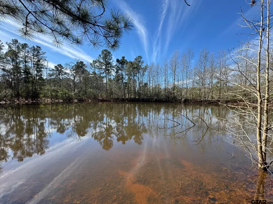 7365 N FM 2022, Grapeland, TX 75844 - Image #2