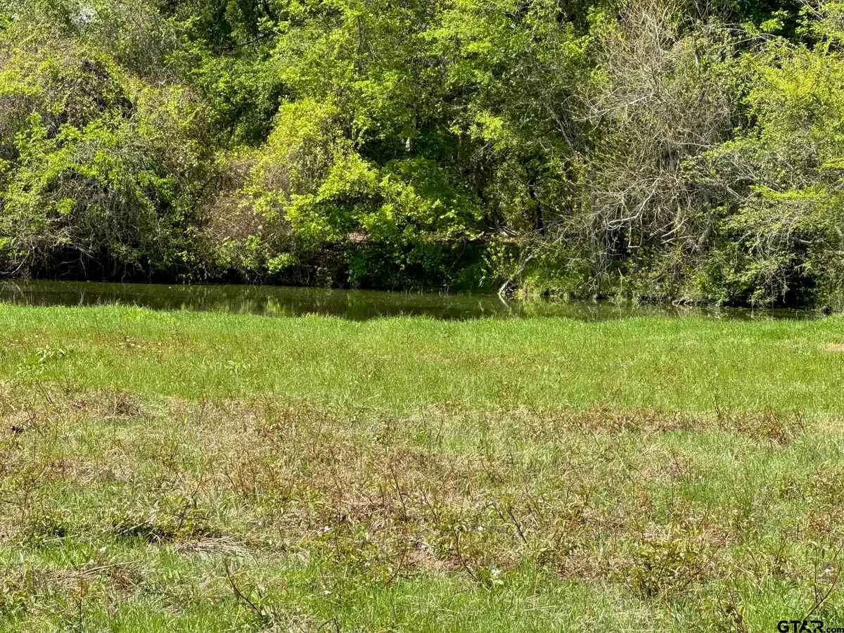Tract #21 Southfield Trail, Lovelady, TX 75851 - #1