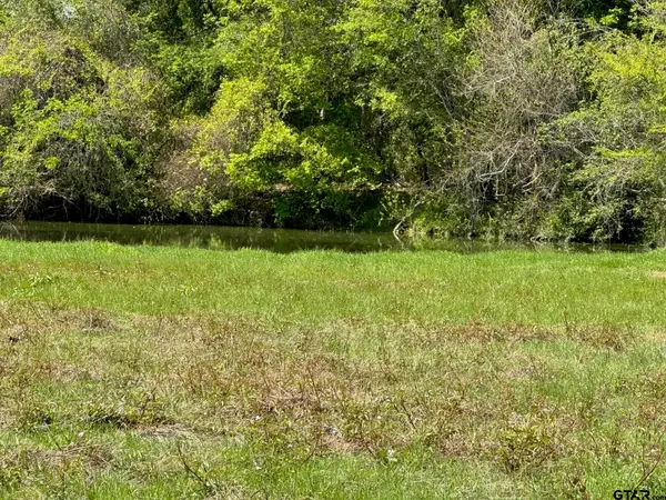 Tract #21 Southfield Trail, Lovelady, TX 75851