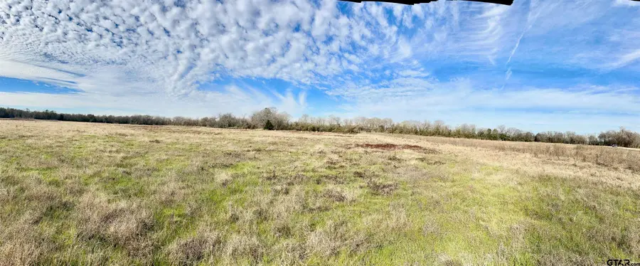 Tract #21 Southfield Trail, Lovelady, TX 75851 - #2