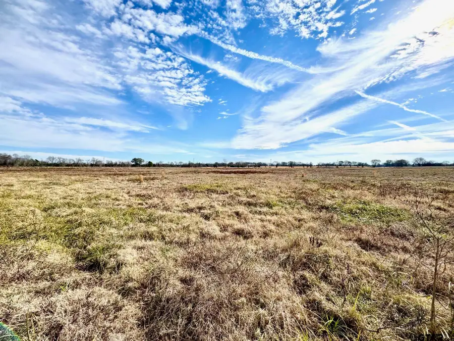 Tract #21 Southfield Trail, Lovelady, TX 75851 - #3