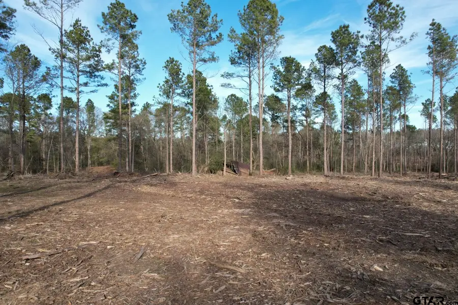 Tract A County Road 4037, Timpson, TX 75975 - Image #3